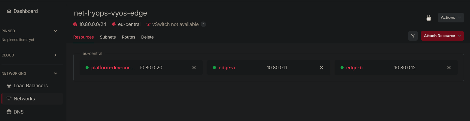 Hetzner private network with the control host and VyOS edge pair attached.