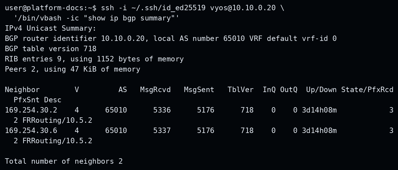 VyOS BGP summary showing established peers and received prefixes.